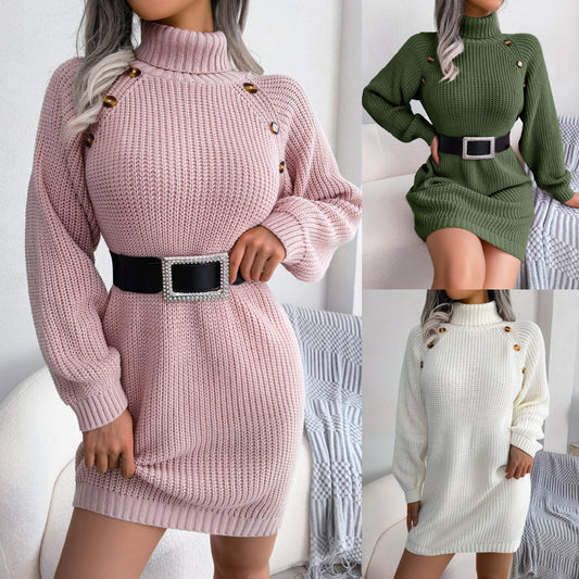 Women's Winter Turtle Neck Long Sweater Dress